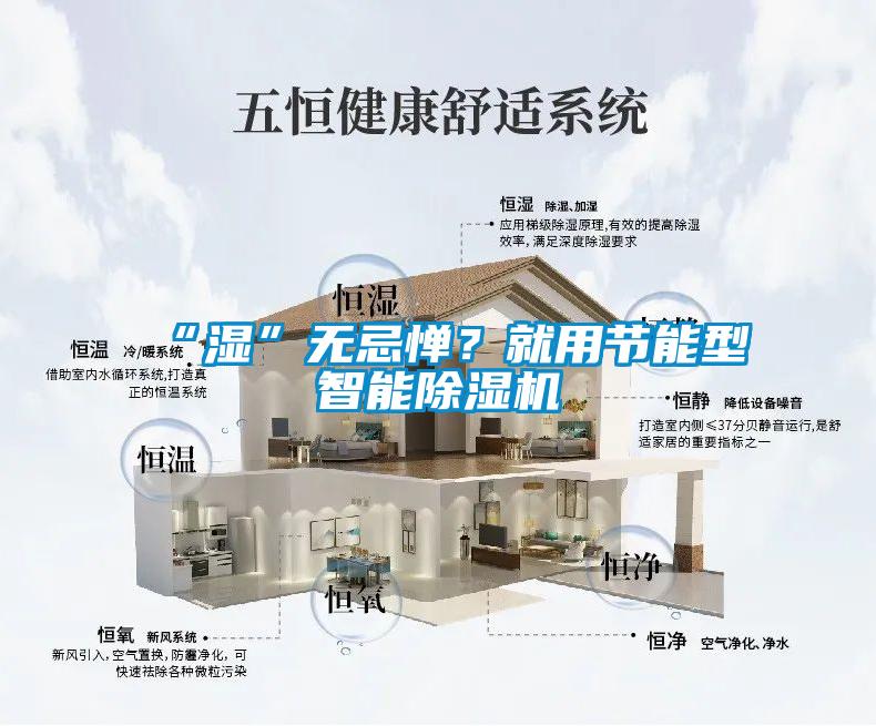 “濕”無忌憚？就用節能型智能除濕機