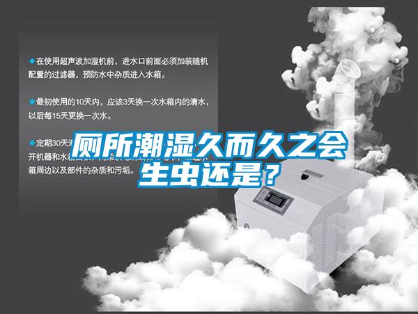 廁所潮濕久而久之會(huì)生蟲還是？
