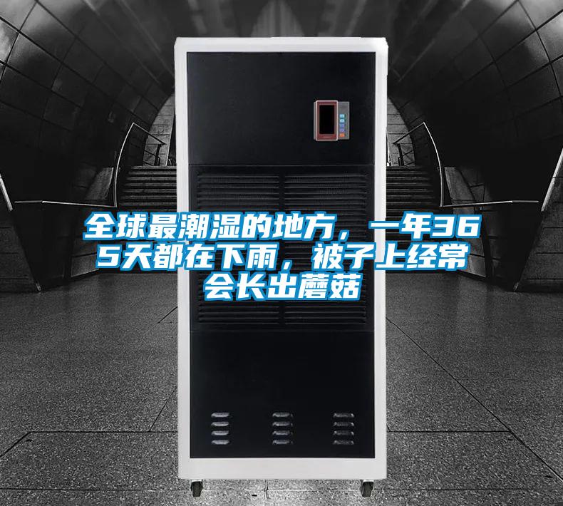 全球最潮濕的地方，一年365天都在下雨，被子上經常會長出蘑菇