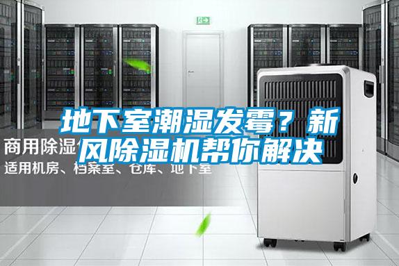 地下室潮濕發(fā)霉?新風(fēng)除濕機(jī)幫你解決