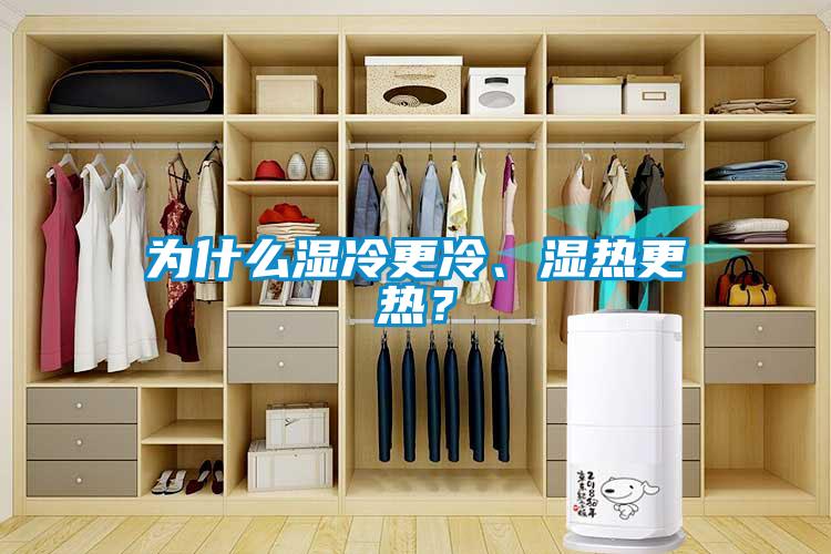 為什么濕冷更冷、濕熱更熱？