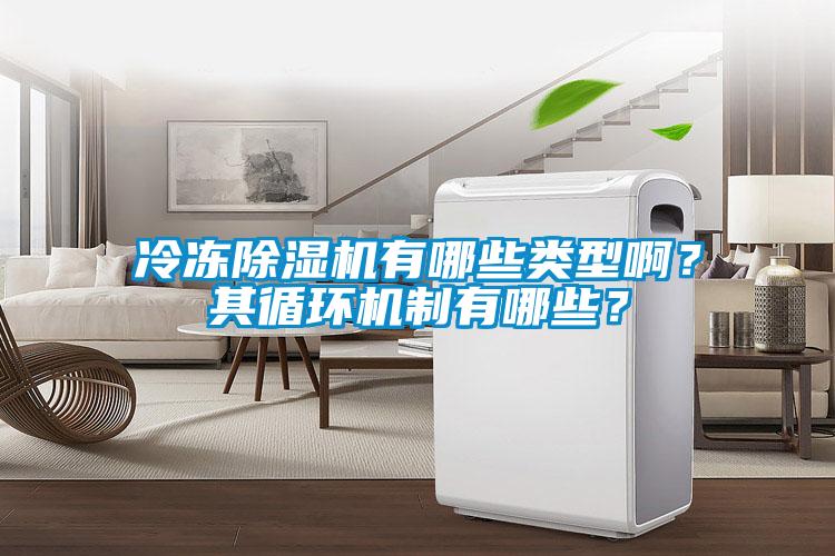 冷凍除濕機(jī)有哪些類型啊？其循環(huán)機(jī)制有哪些？