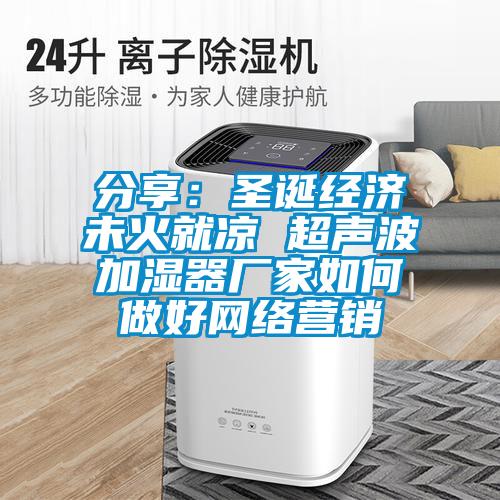 分享：圣誕經(jīng)濟(jì)未火就涼 超聲波加濕器廠家如何做好網(wǎng)絡(luò)營(yíng)銷
