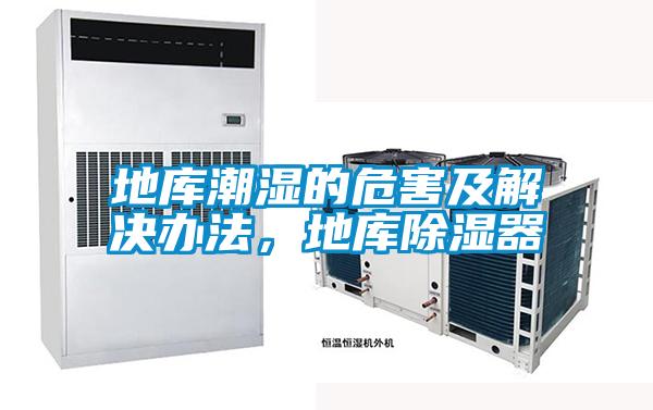 地庫潮濕的危害及解決辦法，地庫除濕器