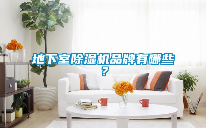地下室除濕機品牌有哪些？