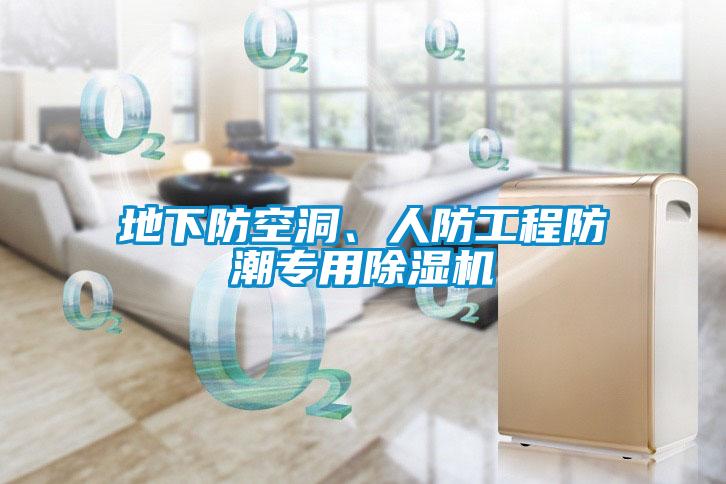 地下防空洞、人防工程防潮專用除濕機