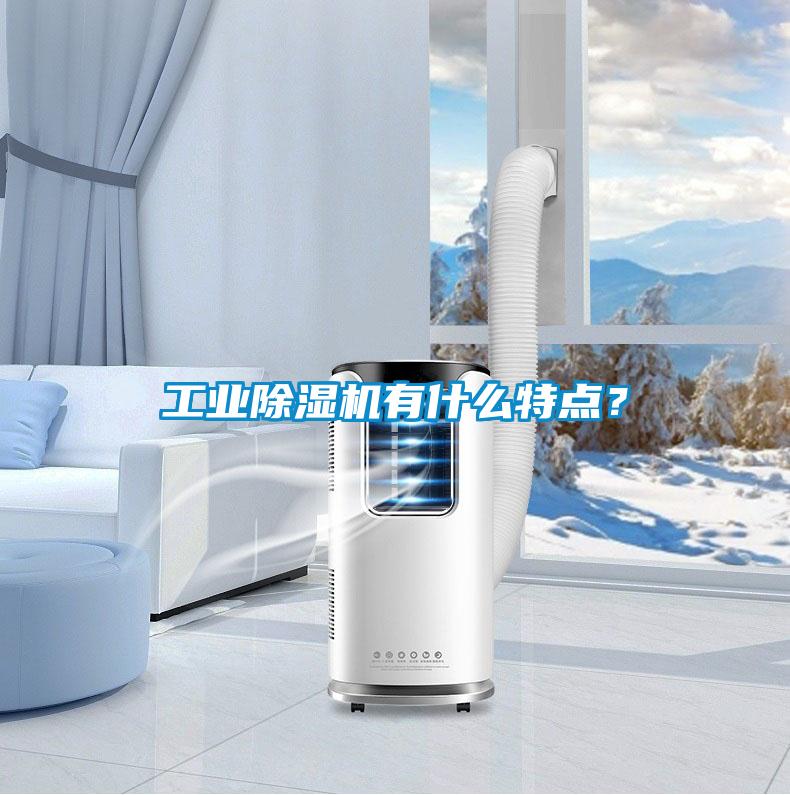工業(yè)除濕機(jī)有什么特點(diǎn)？