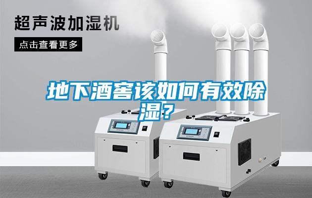 地下酒窖該如何有效除濕？