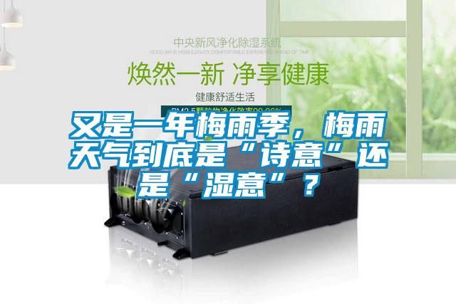 又是一年梅雨季，梅雨天氣到底是“詩意”還是“濕意”？