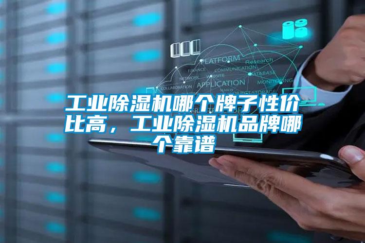 工業(yè)除濕機(jī)哪個(gè)牌子性價(jià)比高，工業(yè)除濕機(jī)品牌哪個(gè)靠譜