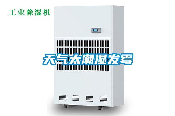 天氣太潮濕發霉