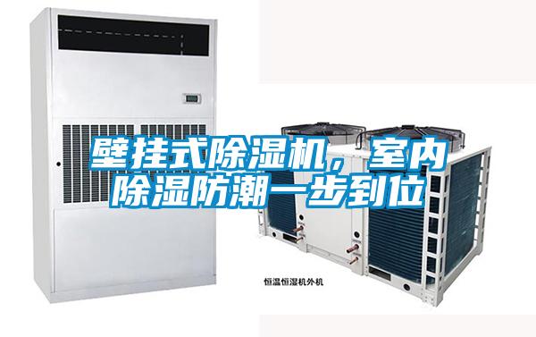壁掛式除濕機，室內除濕防潮一步到位