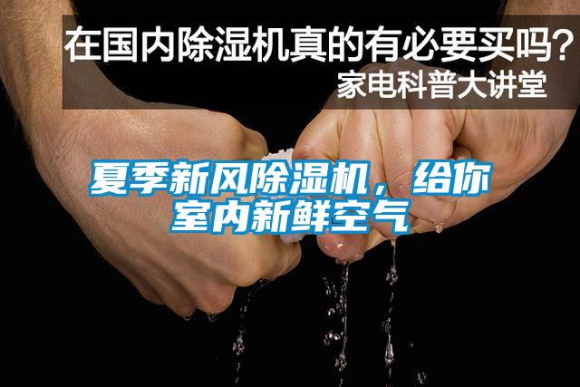 夏季新風除濕機，給你室內新鮮空氣