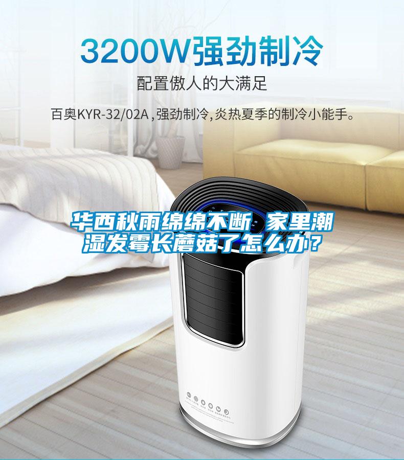 華西秋雨綿綿不斷 家里潮濕發霉長蘑菇了怎么辦？