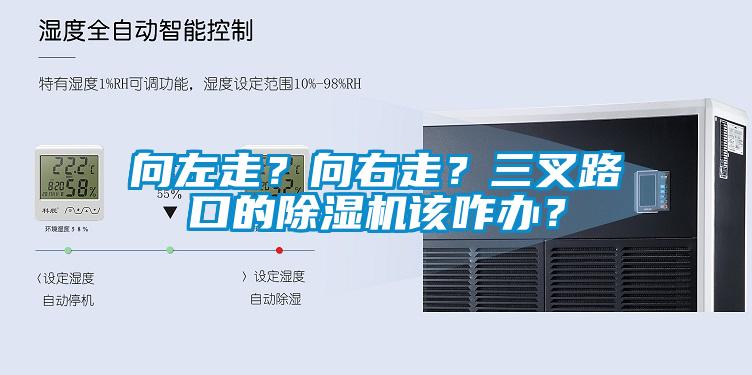 向左走？向右走？三叉路口的除濕機該咋辦？