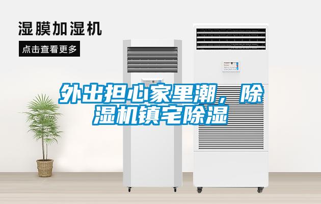 外出擔心家里潮，除濕機鎮宅除濕