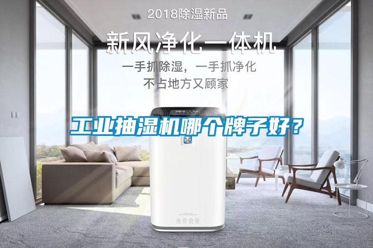 工業抽濕機哪個牌子好？