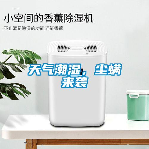天氣潮濕，塵螨來襲