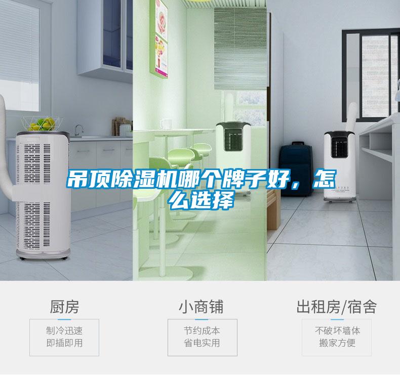 吊頂除濕機(jī)哪個(gè)牌子好，怎么選擇