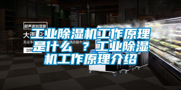 工業除濕機工作原理是什么 ？工業除濕機工作原理介紹