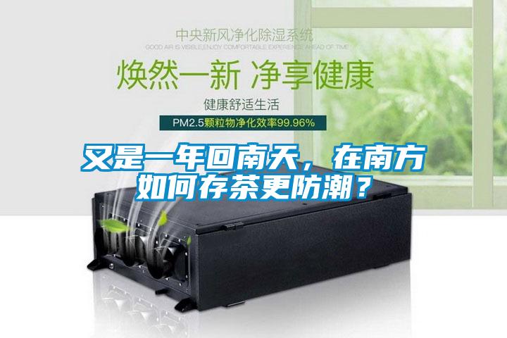 又是一年回南天，在南方如何存茶更防潮？