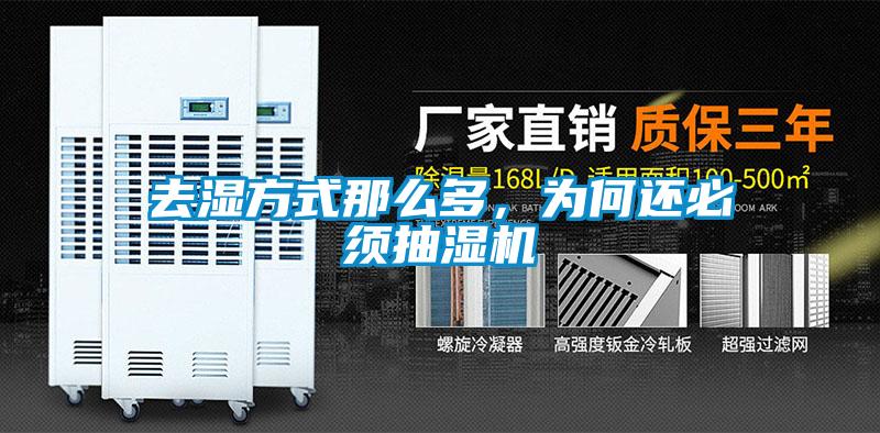 去濕方式那么多，為何還必須抽濕機(jī)
