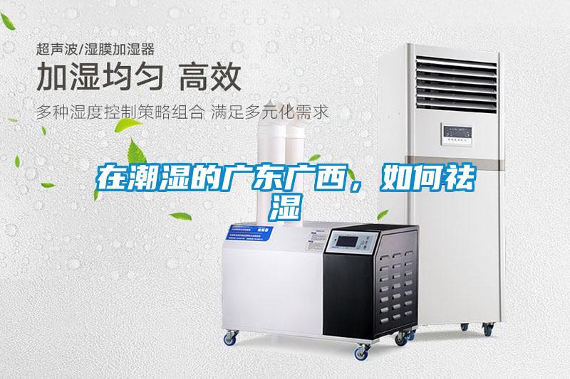 在潮濕的廣東廣西，如何祛濕