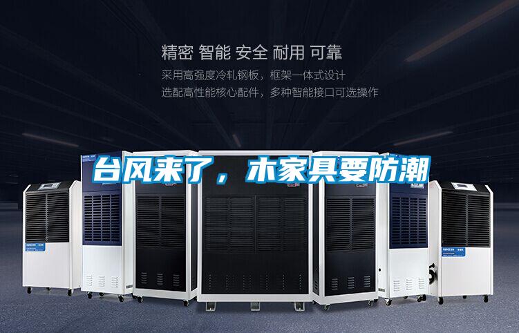 臺風來了，木家具要防潮