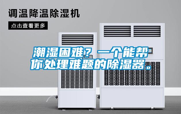 潮濕困難？一個(gè)能幫你處理難題的除濕器。