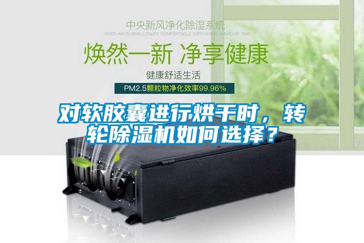 對軟膠囊進行烘干時，轉輪除濕機如何選擇？