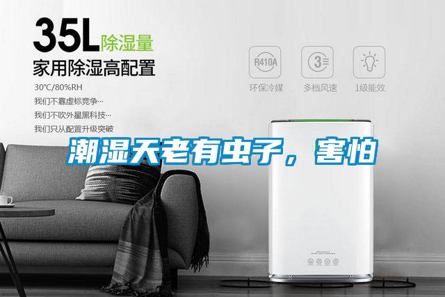 潮濕天老有蟲子，害怕