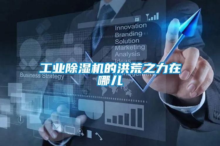 工業除濕機的洪荒之力在哪兒