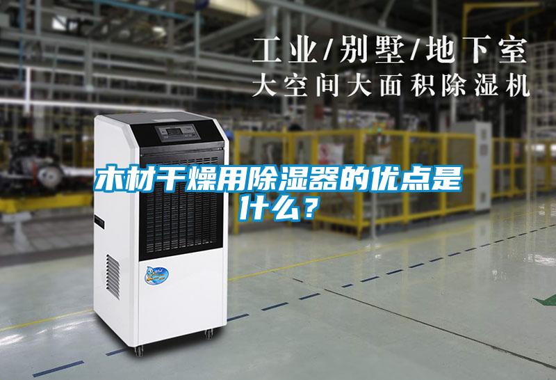 木材干燥用除濕器的優點是什么？