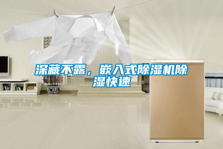深藏不露，嵌入式除濕機(jī)除濕快速