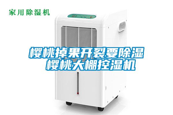 櫻桃掉果開裂要除濕 櫻桃大棚控濕機