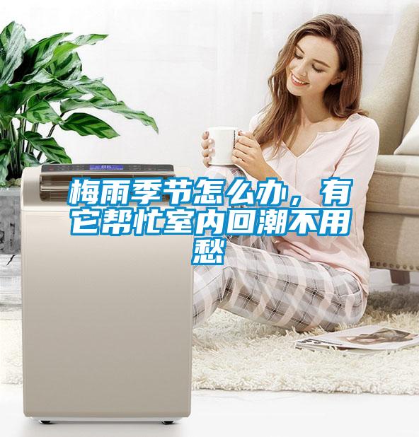梅雨季節怎么辦，有它幫忙室內回潮不用愁