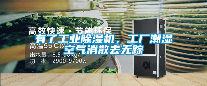 有了工業除濕機，工廠潮濕空氣消散去無蹤