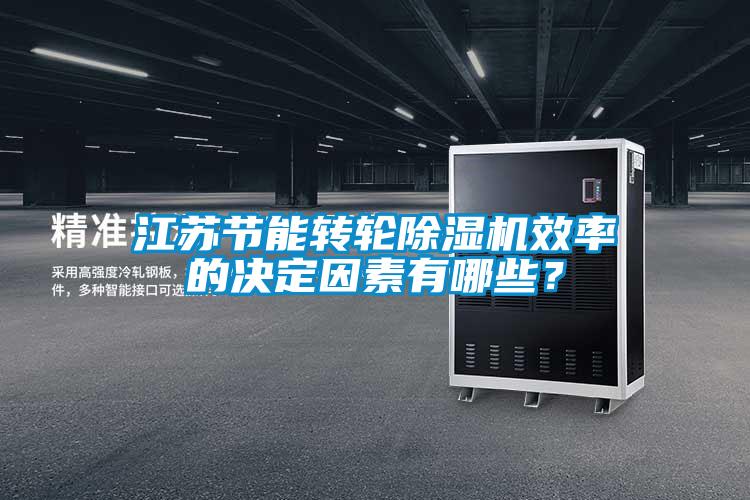 江蘇節(jié)能轉(zhuǎn)輪除濕機(jī)效率的決定因素有哪些？