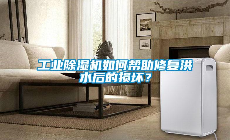 工業除濕機如何幫助修復洪水后的損壞？