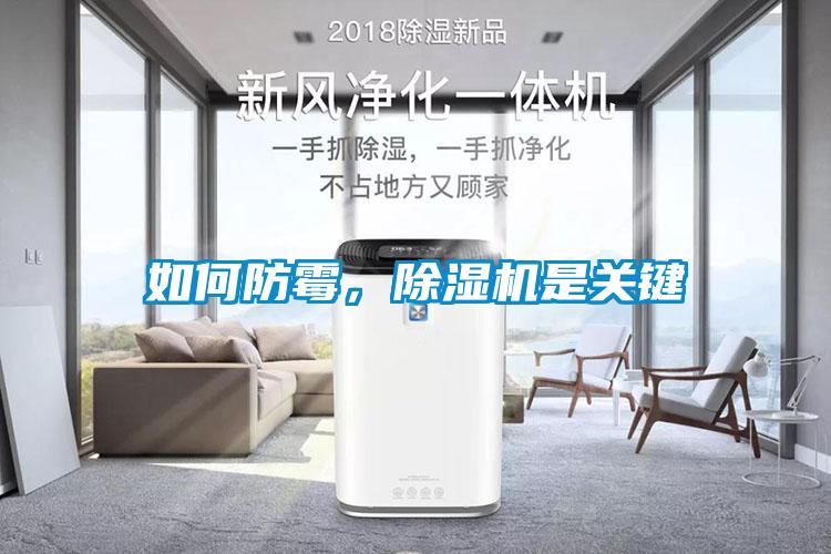 如何防霉，除濕機(jī)是關(guān)鍵