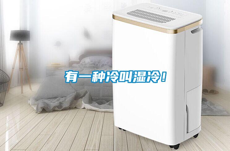 有一種冷叫濕冷！