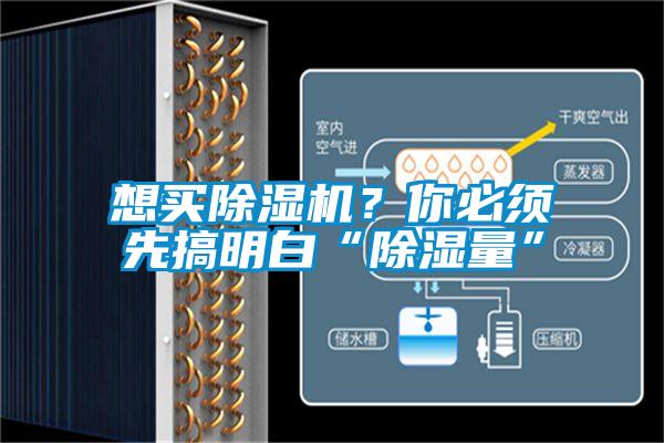 想買除濕機？你必須先搞明白“除濕量”
