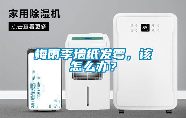 梅雨季墻紙發霉，該怎么辦？