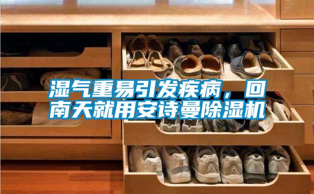 濕氣重易引發(fā)疾病，回南天就用安詩曼除濕機(jī)