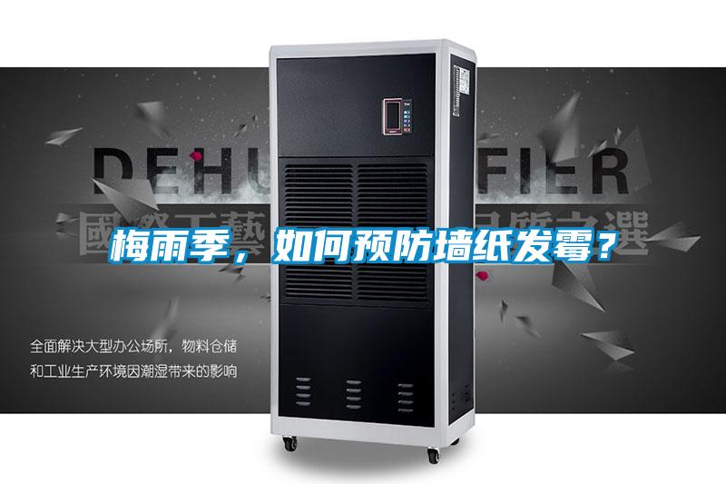梅雨季，如何預防墻紙發霉？
