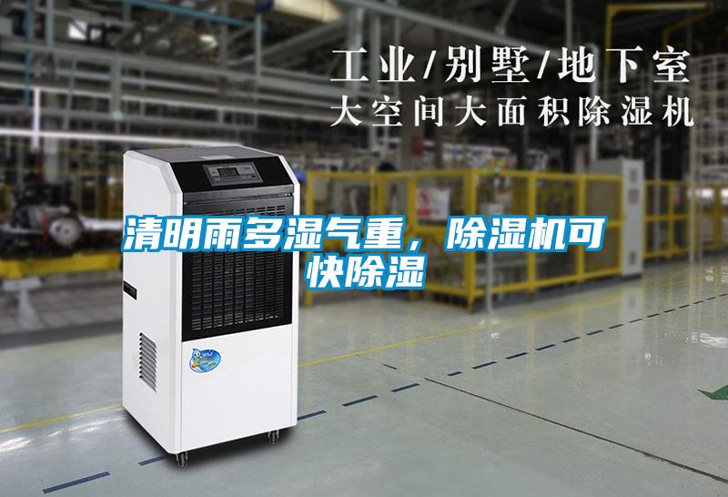 清明雨多濕氣重，除濕機可快除濕