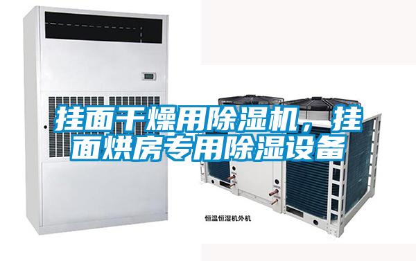 掛面干燥用除濕機，掛面烘房專用除濕設備