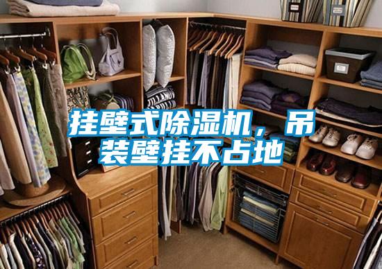 掛壁式除濕機，吊裝壁掛不占地