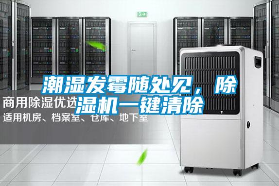 潮濕發霉隨處見，除濕機一鍵清除