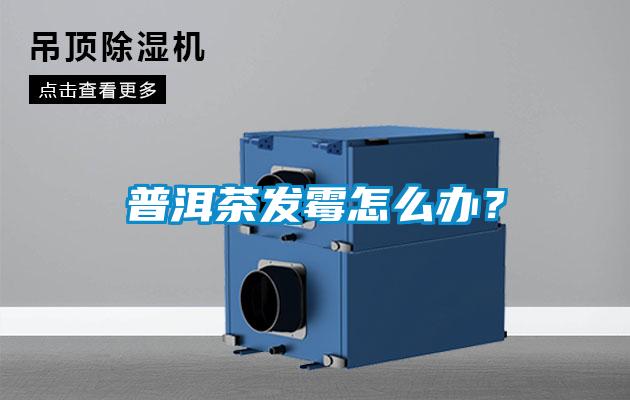 普洱茶發霉怎么辦?